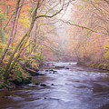 The River in Autumn